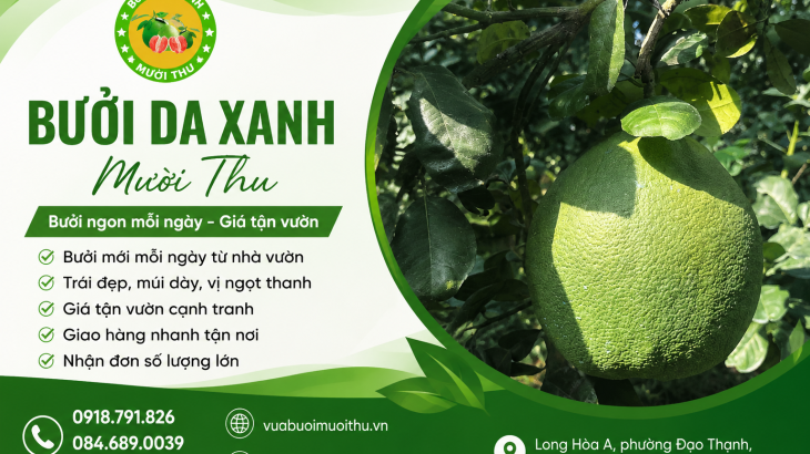 BÍ QUYẾT CHỌN VÀ BẢO QUẢN BƯỞI TỰ NHIÊN | VỰA BƯỞI MƯỜI THU